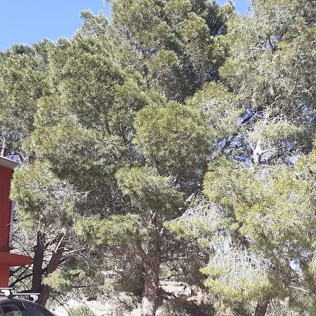 Casa de Férias Casa N. 2